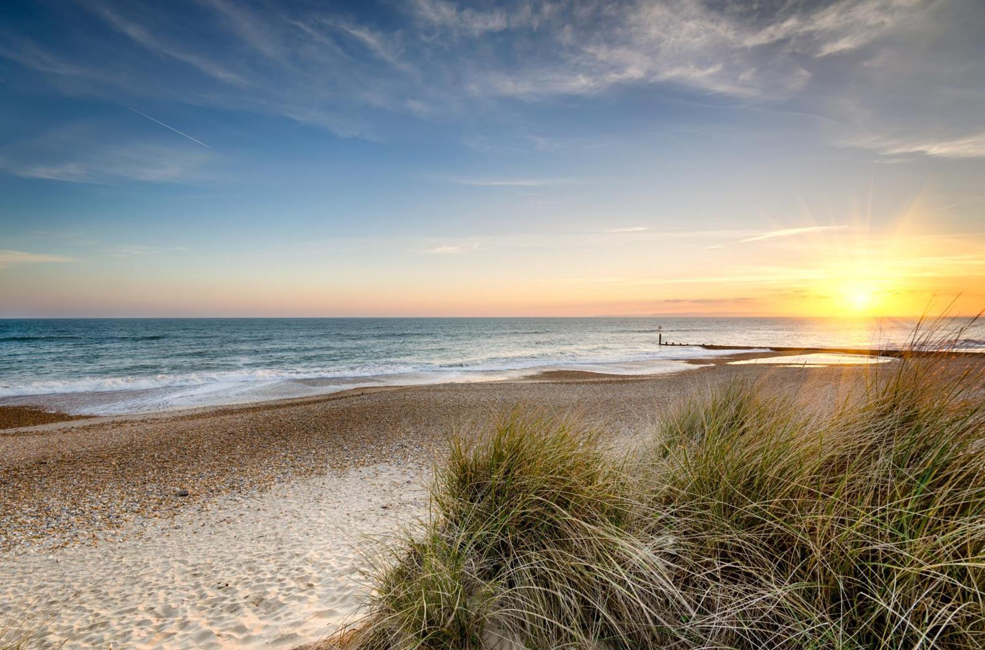 Cosy Bee And Apartment Bournemouth Bagian luar foto